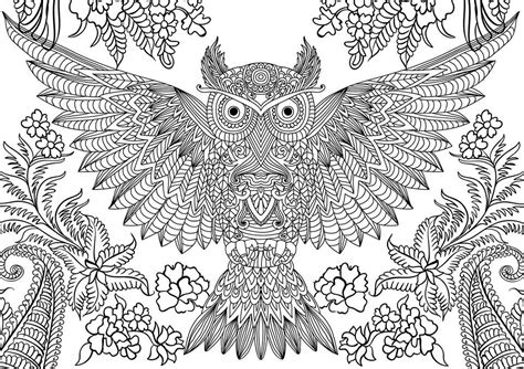 hard owl coloring pages