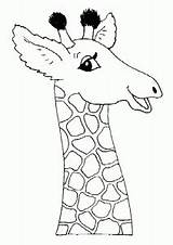 Coloring Giraffes Pages Kids Printable Color Print Animals Children Justcolor sketch template