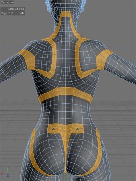 anatomy models 3d model character model