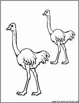 Emu Australian Colouring sketch template
