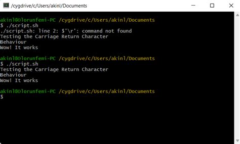 Solve R Command Not Found On Bash Or Cygwin Delft Stack