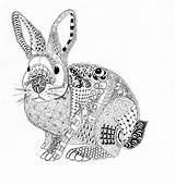 Coloring Pages Zentangle Bunny Rabbit Patterns Ben Kwok Easter Mandala Fluffy Adult Drawings Visit Coloriage Sheets Colouring Choose Board Efie sketch template