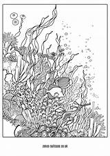 Colouring Reefs Zentangle sketch template