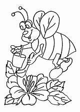 Bijen Kleurplaten Abeille Dieren Butiner Animaatjes Abeilles Kleurboeken Papillon Hugolescargot sketch template