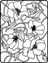 Coloring Pages Flower Book Cute Choose Board Realistic Printable sketch template