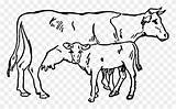 Cows Hereford Cattle Calf Polled Clarabelle Flyclipart sketch template