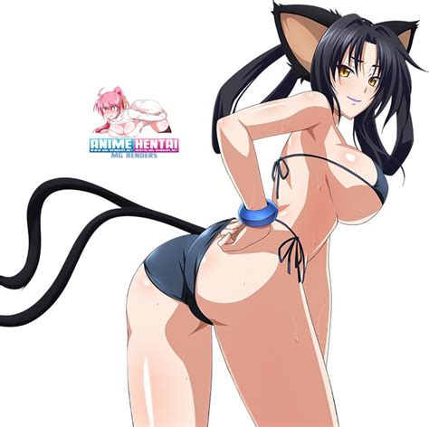 17 Best Images About High Shcool Dxd On Pinterest Sexy