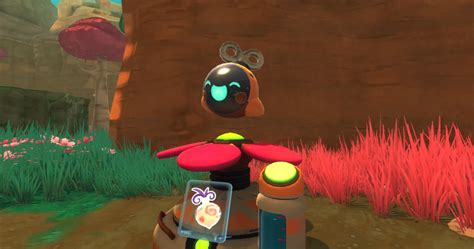slime rancher update introduces drones gamegrin
