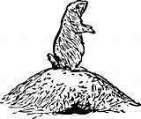 Prairie Dog Coloring Pages Animals Burrow sketch template
