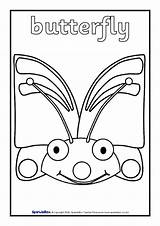 Colouring Sparklebox Minibeast Sheets sketch template