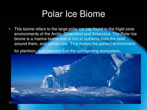 polar ice biome powerpoint    id