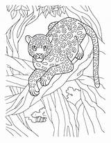 Ausmalbilder Dschungeltiere sketch template