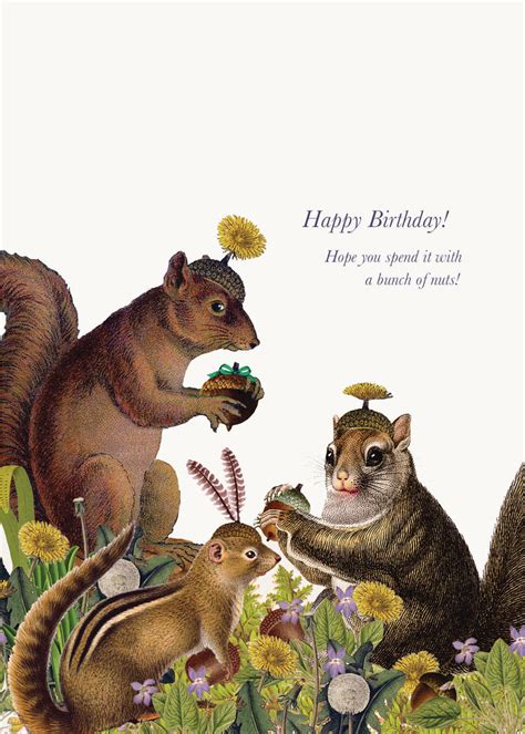 happy birthday squirrel  greeting card p flynn design