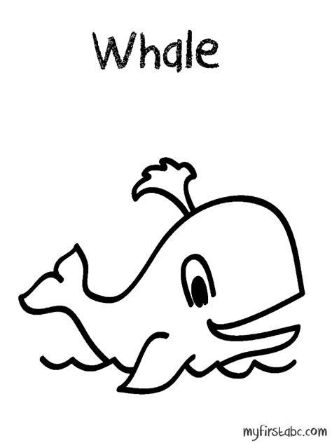 coloring page whale  animals printable coloring pages