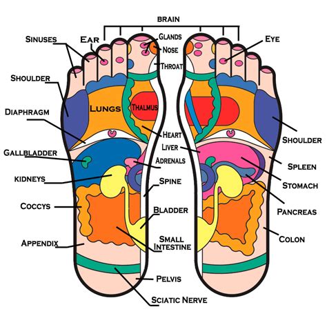 thai footmassage