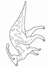 Dinosar Parasaurolophus Velociraptor Dinosaurier sketch template