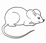 Tikus Mewarnai Zum Myszka Kolorowanka Maus Ausmalen Mysz Urocza Domowa Colorear Kolorowanki Supercoloring Raton Rato Desenho Untuk Kategorii Druku Mause sketch template