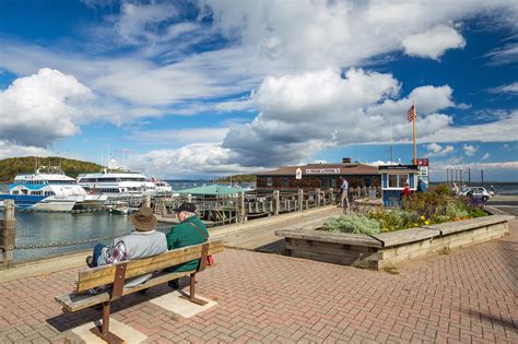 bar harbor pack   life