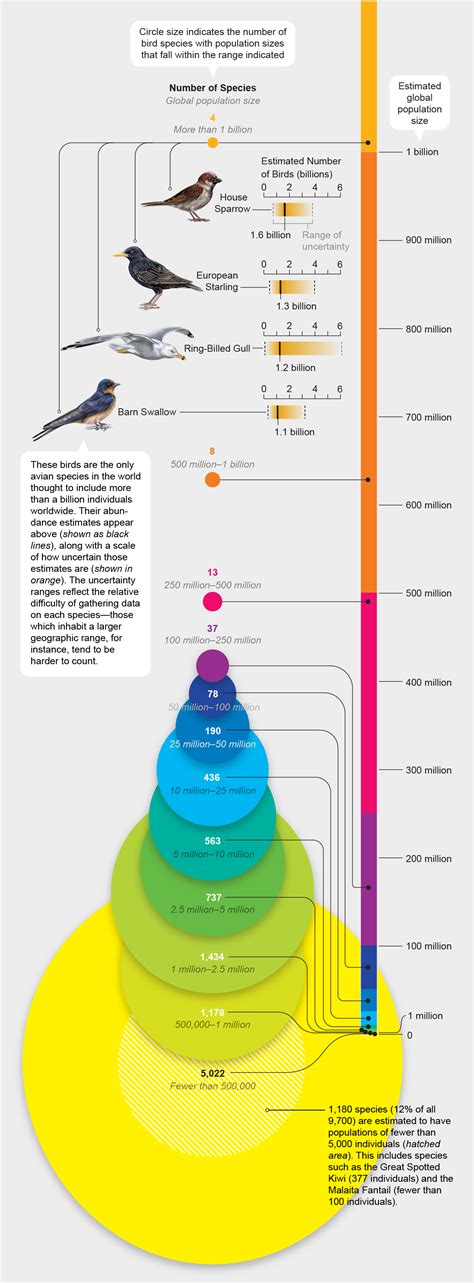 bird species abundances  biggest  smallest scientific american