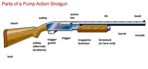 pump shotgun parts diagram