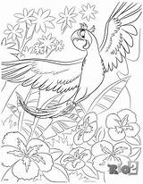 Coloriage Perle Rio2 Coloriages Colorier Mommysbusy Aras Sheets Krokmou sketch template