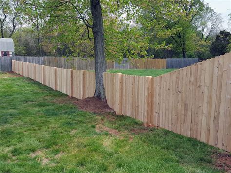 relocating wooden fence   tree    installed build standard house remodeling