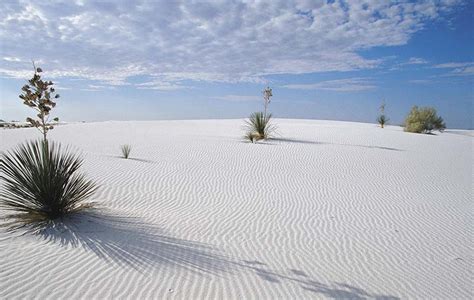 Mui Ne Sand Dunes White And Red Sand Dunes In Mui Ne