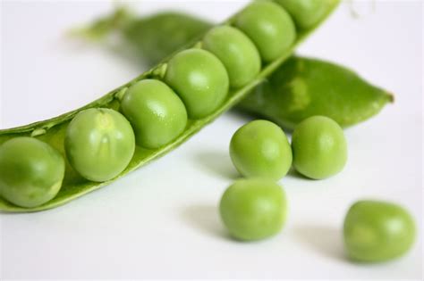 peas  stock photo public domain pictures