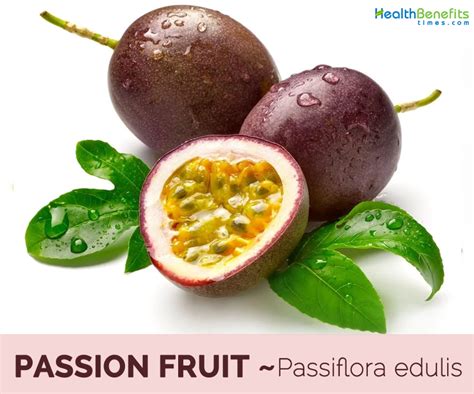 Passion Fruit Facts And Health Benefits Tjmbb