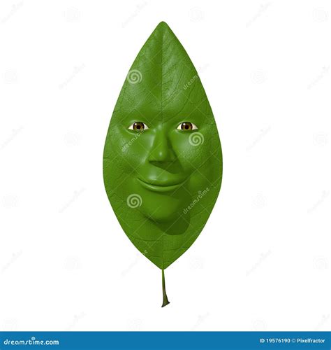 leaf  face stock photo image