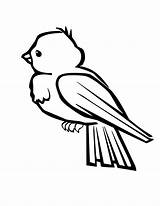 Pages Coloring Bird Chickadee Print Clipart sketch template