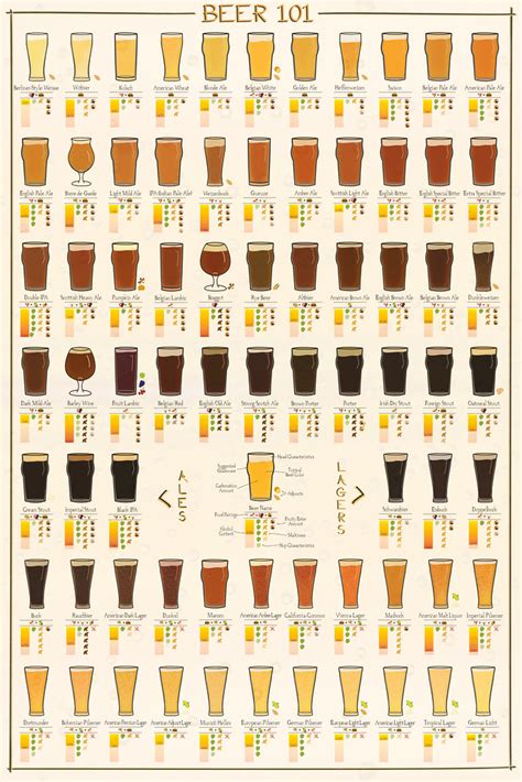 Beer 101 Poster Brookston Beer Bulletin