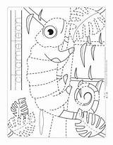 Chameleon Tracing Jungle Coloring Reptile Reptiles Itsybitsyfun sketch template