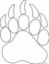 Paw Bear Coloring Print Template Drawing Sketch sketch template