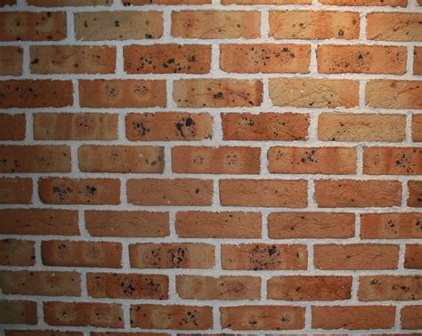 pic  posts   wallpaper  brick wall