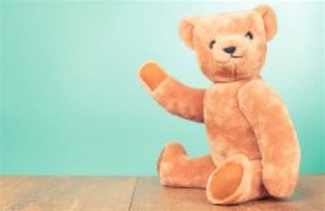 burglar busted after having sex with teddy bear and