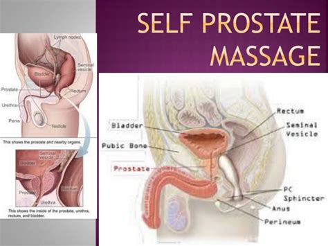 male masturbation technique prostate stimulation gay fetish xxx