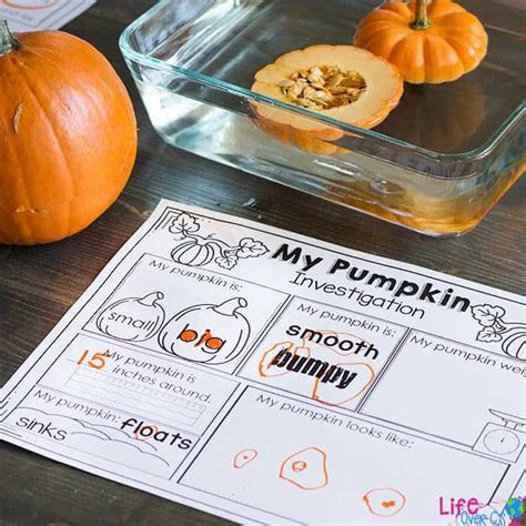 pumpkin stem activity  preschoolers  printables