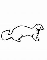 Mink Clipart Coloring Otter Template Pages Clipground sketch template