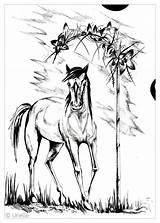 Horse Colorare Cavalli Cheval Animali Adulti Caballos Chevaux Pferde Cavallo Malbuch Erwachsene Justcolor Coloriages Adulte Svg Zentangle Motifs Bambini Guay sketch template