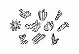Vector Spice Spices Herbal Icon Drawing Getdrawings Vecteezy Edit Graphics sketch template