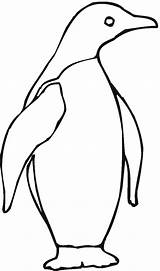 Penguin Emperor Penguins Pingouin Pinguino Mickey Adelie Designlooter Boyama Penguen Coloriages sketch template
