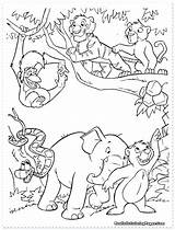 Coloring Safari Pages African Animals Animal Getcolorings Getdrawings sketch template