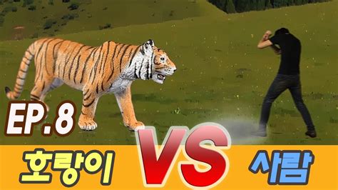[ep08] 호랑이 vs 사람 싸움 man vs tiger jurassic world dinosaur battle dinosaurs fight 쥬라기월드 공룡tv 공룡
