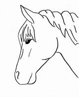 Horse Trace Easy Drawing Horses Drawings Outlines Pages Coloring Animals Head Outline Printable Patterns Pferd Vorlage Zeichnen Pferde Animal Zum sketch template