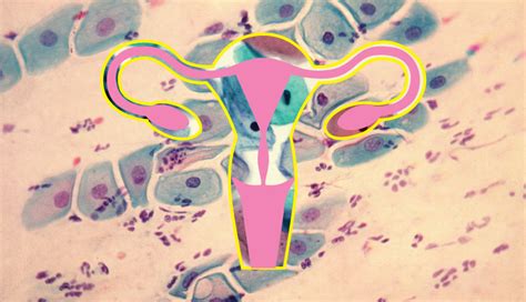 This Is What An Abnormal Pap Smear Means—and What Comes Next Self