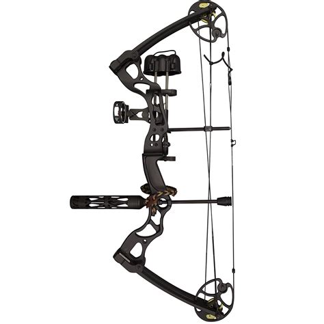compound bow reviews  top rated   money