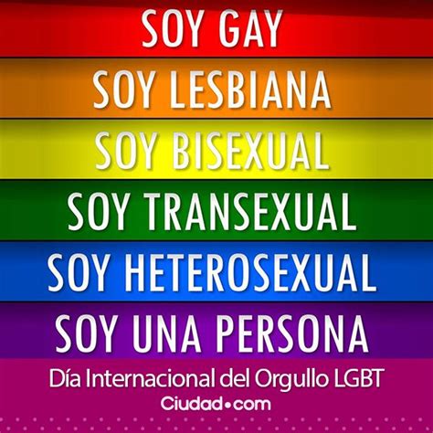dÍa internacional del orgullo lgbt la homosexualidad no es una