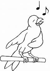 Vogel Bird Coloriages Oiseau Plaatje Animaatjes Malvorlagen Mewarnai Burung Animasi Bergerak Malvorlagen1001 Picgifs sketch template