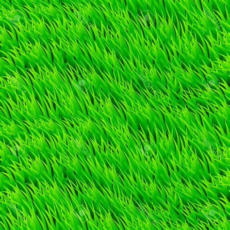 grass vector images     vectors